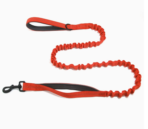 Elastiskt promenadkoppel