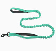 Elastiskt promenadkoppel