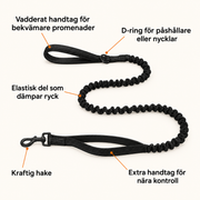 Elastiskt hundkoppel med två handtag