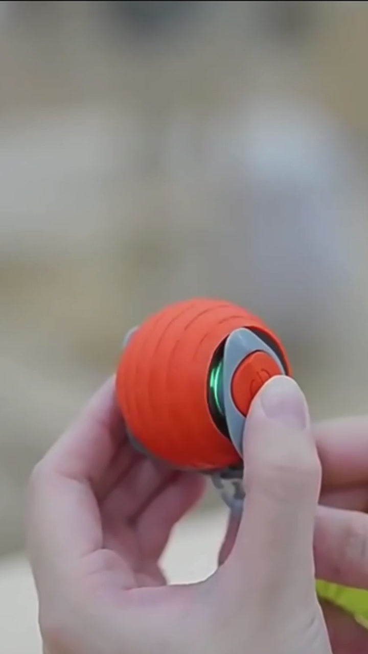 Kattleksak - interaktiv rullboll med USB-laddning