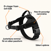 Justerbar anti-dragsele med D-ringar fram och bak